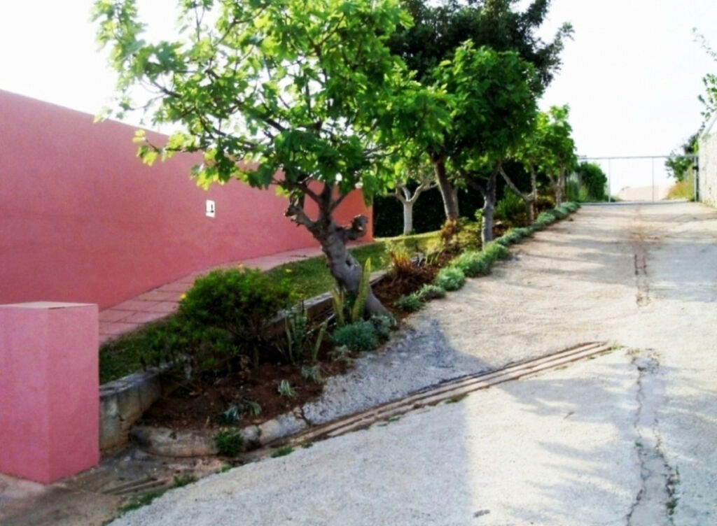 Detached Villa Mijas Málaga - image 12