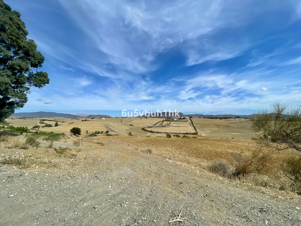 Land Cártama Málaga - image 12