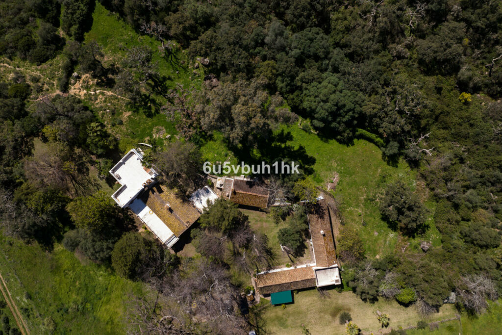 Finca - Cortijo Jimena de la Frontera Cádiz - image 12