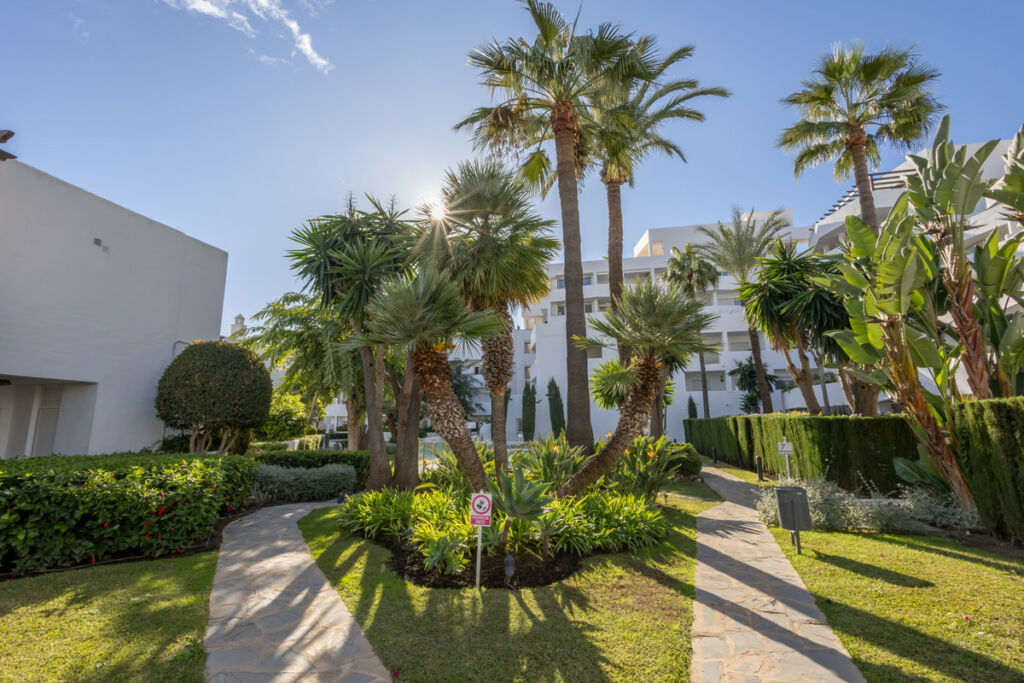 Middle Floor Apartment Nueva Andalucía Málaga - image 12