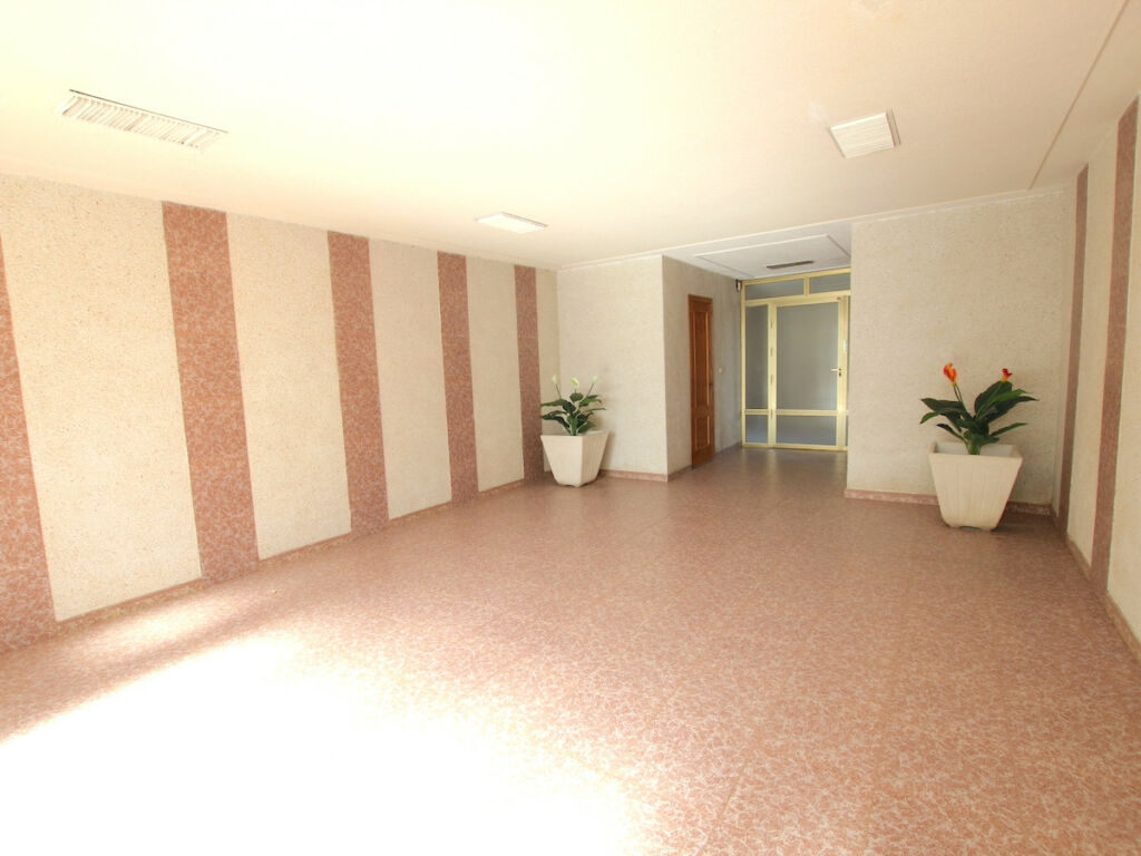 Ground Floor Apartment Guardamar del Segura Alicante - image 13