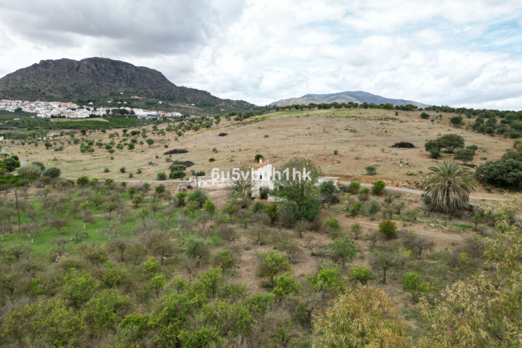 Land Alora Málaga - image 13