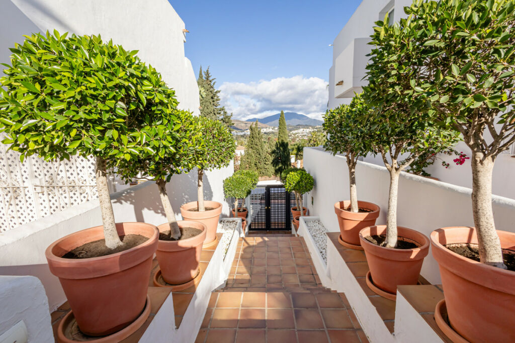 Middle Floor Apartment Nueva Andalucía Málaga - image 13