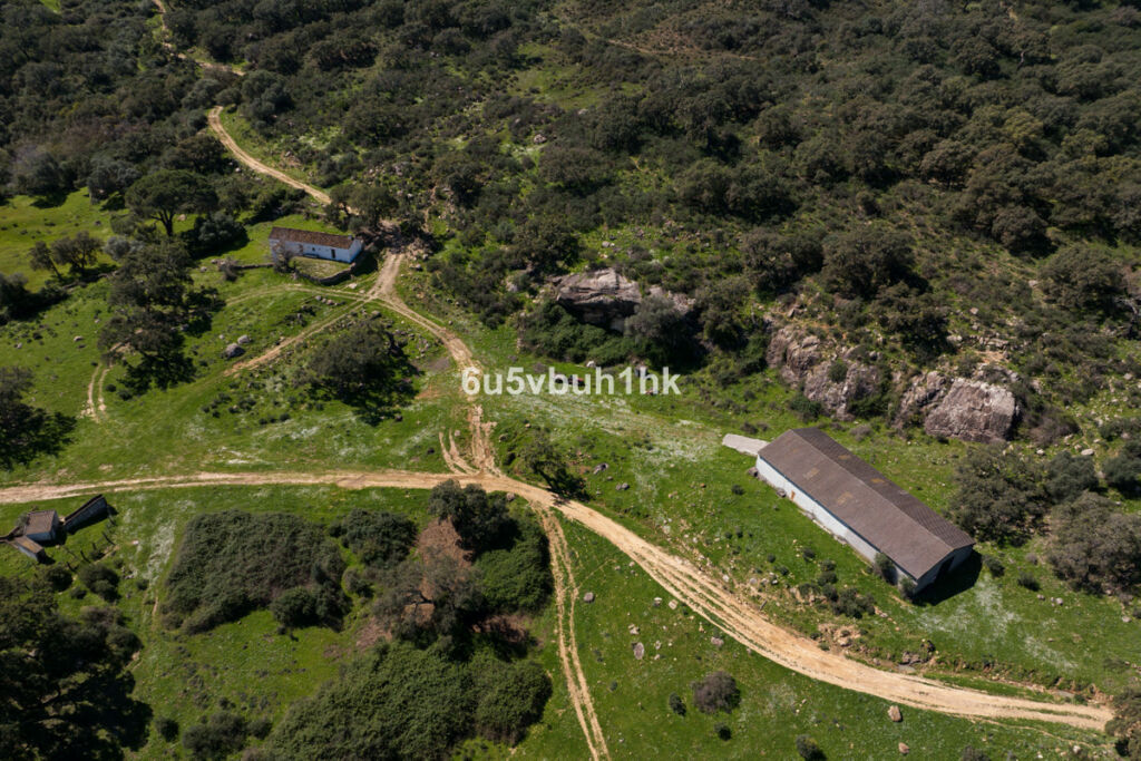 Finca - Cortijo Jimena de la Frontera Cádiz - image 14
