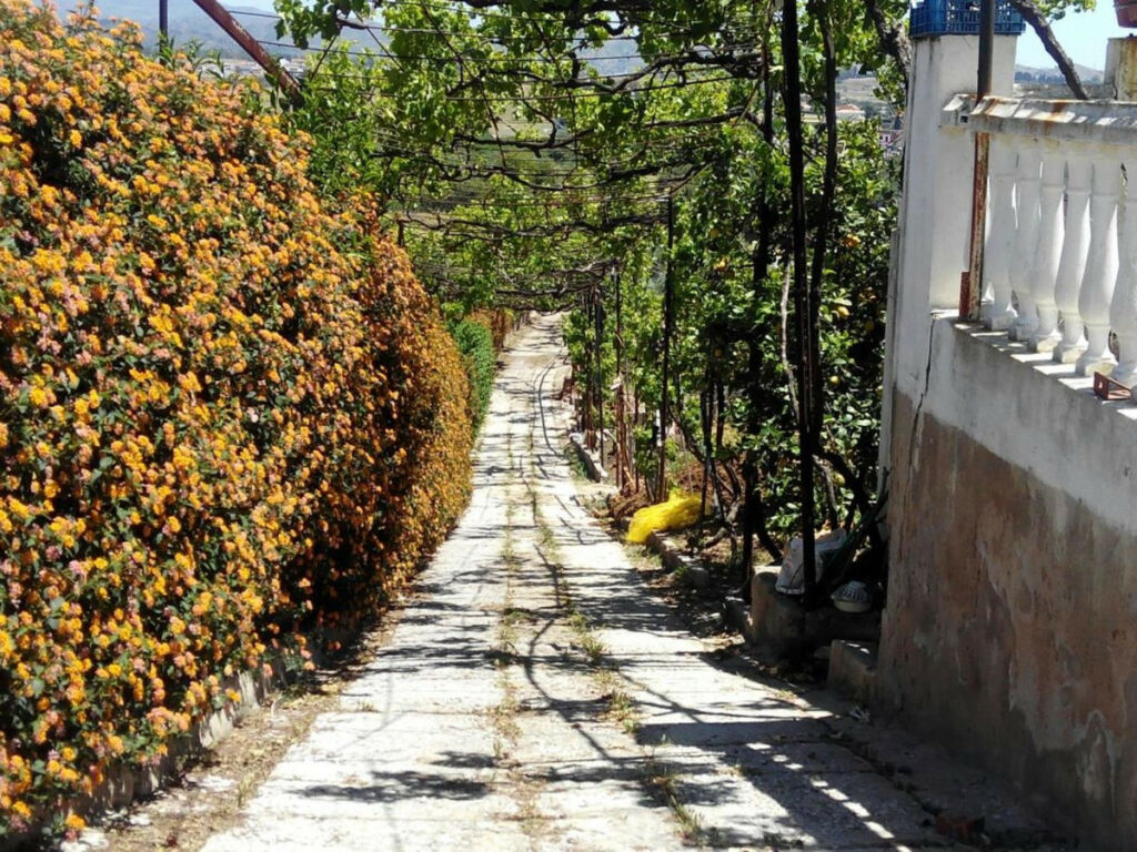 Finca - Cortijo Estacion de Cartama Málaga - image 19