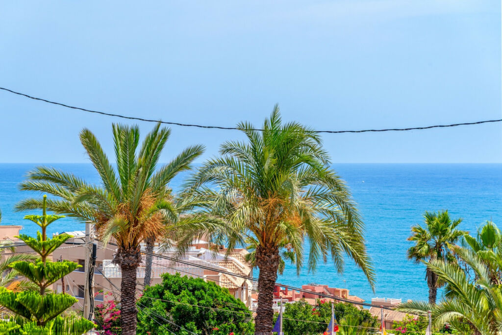 Detached Villa Torrevieja Alicante - image 14