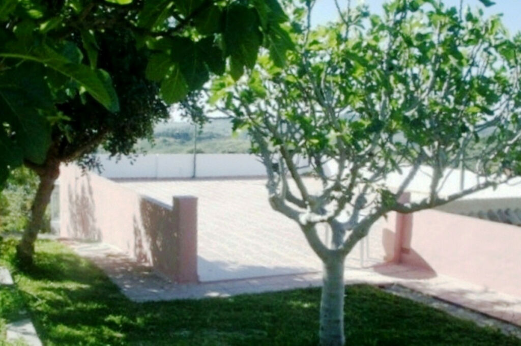 Detached Villa Mijas Málaga - image 14