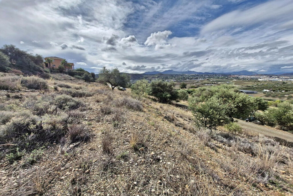 Residential Plot Coín Málaga - image 14
