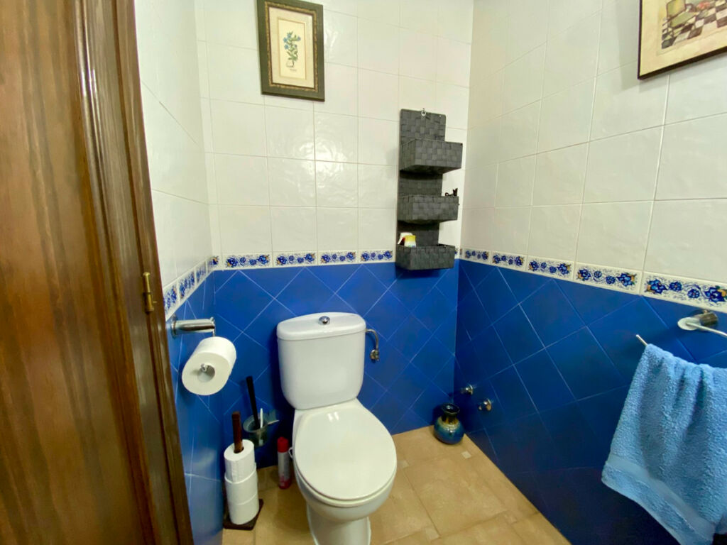 Detached Villa Algorfa Alicante - image 14