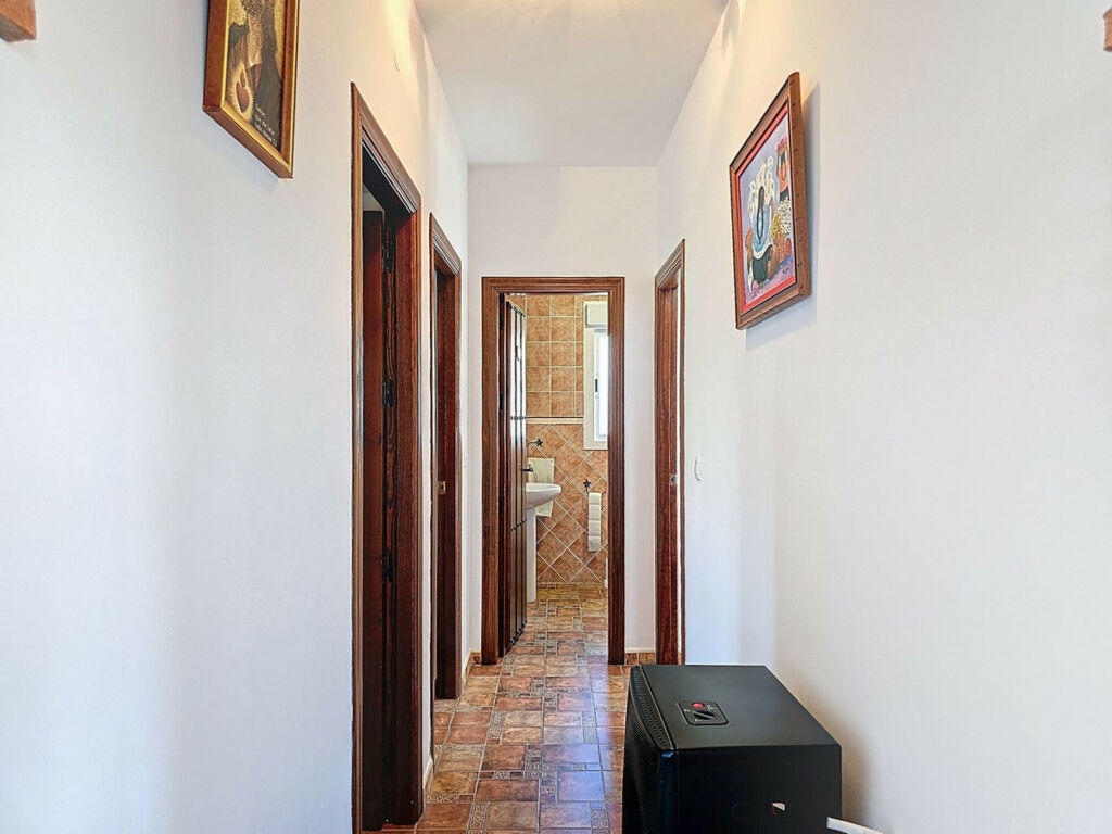 Detached Villa Cómpeta Málaga - image 14