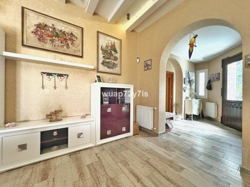 Detached Villa Istán Málaga - image 13
