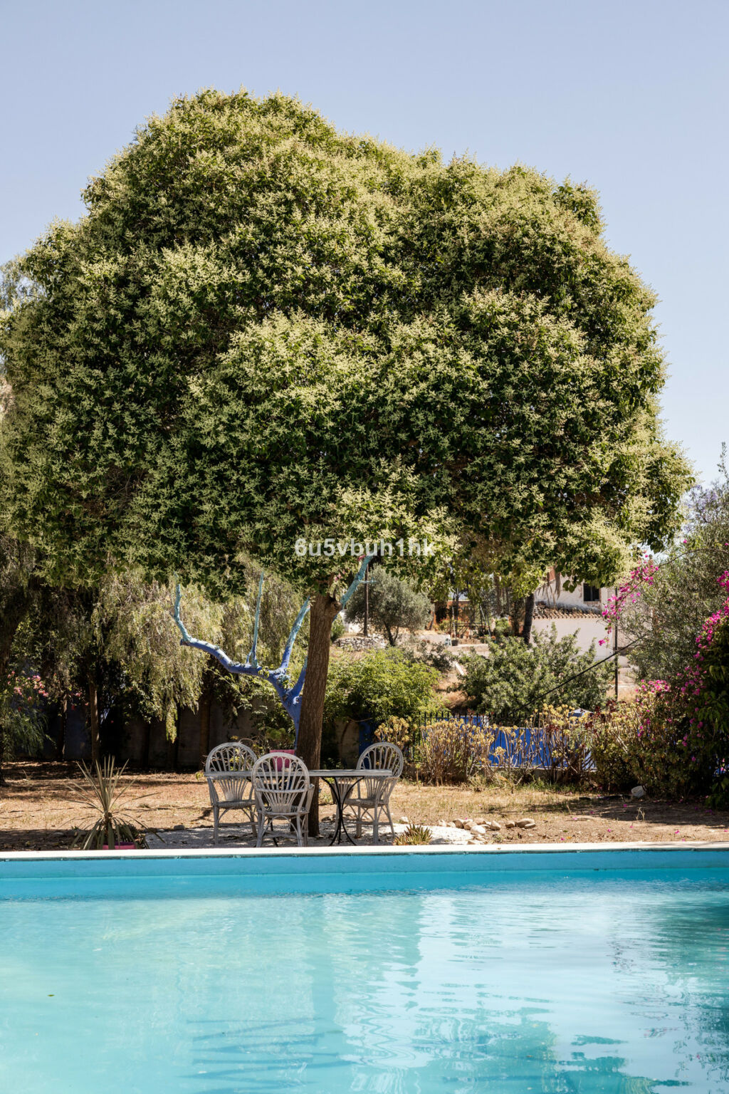 Finca - Cortijo Alora Málaga - image 15