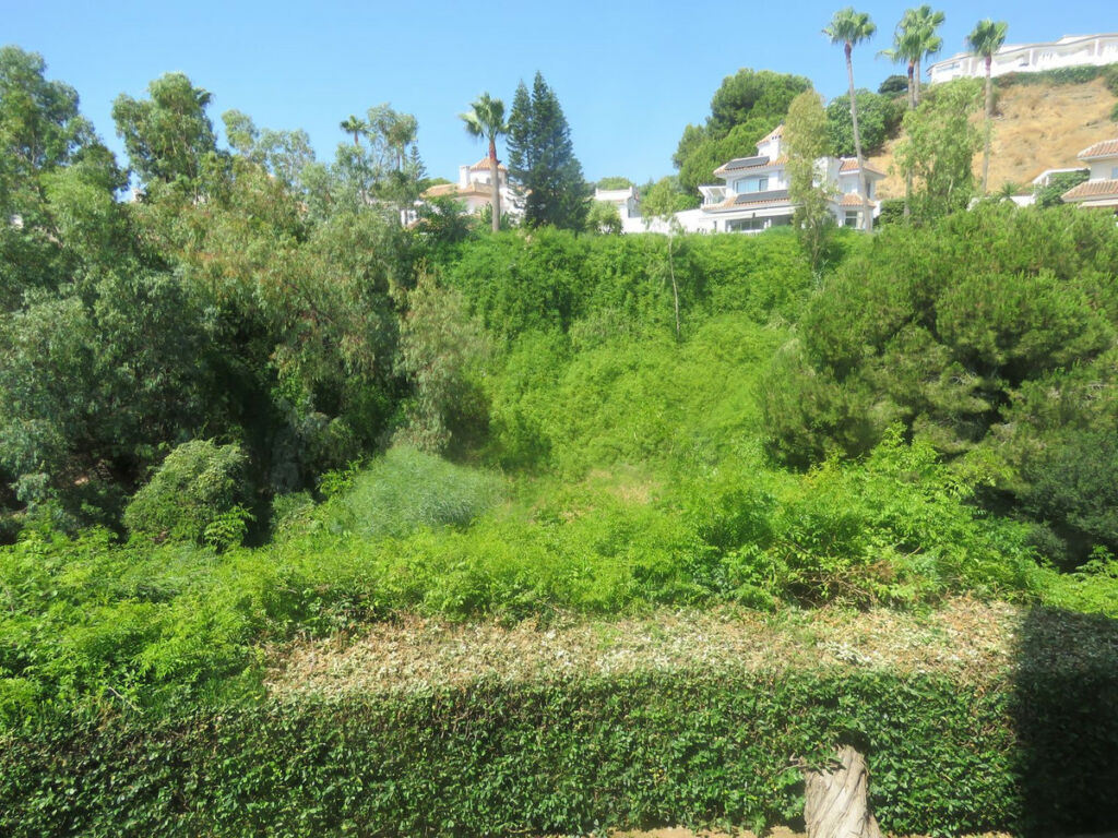 Ground Floor Apartment Calahonda Málaga - image 15