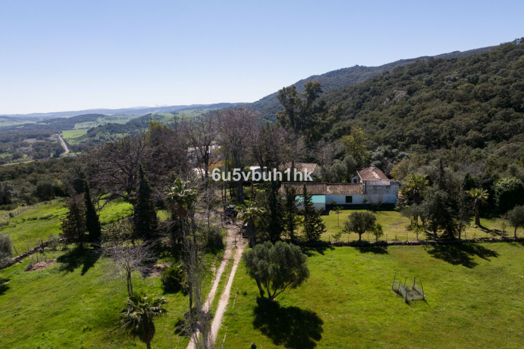 Finca - Cortijo Jimena de la Frontera Cádiz - image 15