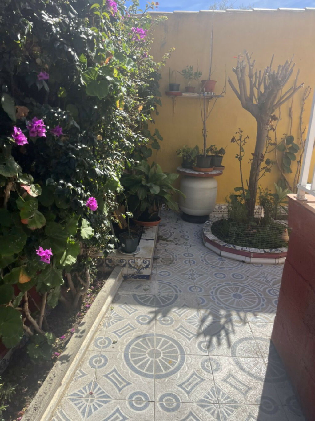 Detached Villa Punta Prima Alicante - image 15