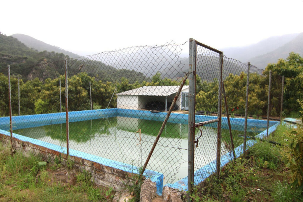 Finca - Cortijo Coín Málaga - image 15
