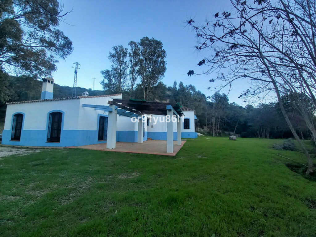 Finca - Cortijo Casares Málaga - image 15
