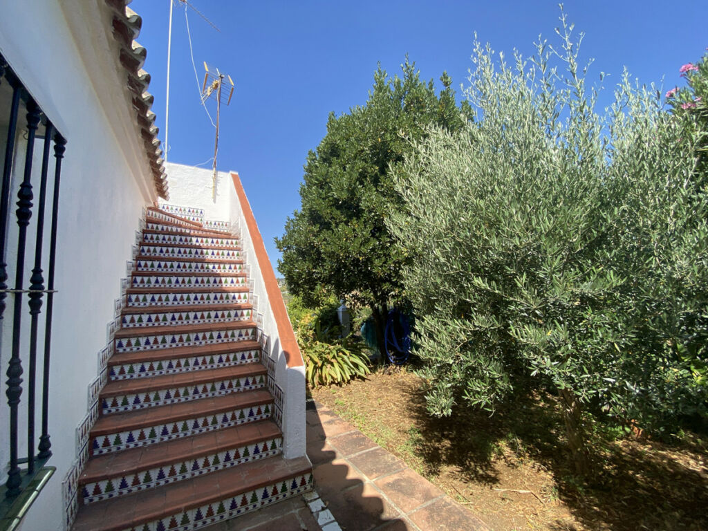 Finca - Cortijo Estepona Málaga - image 15