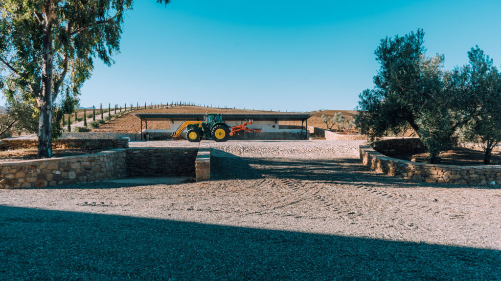 Finca - Cortijo Ardales Málaga - image 15