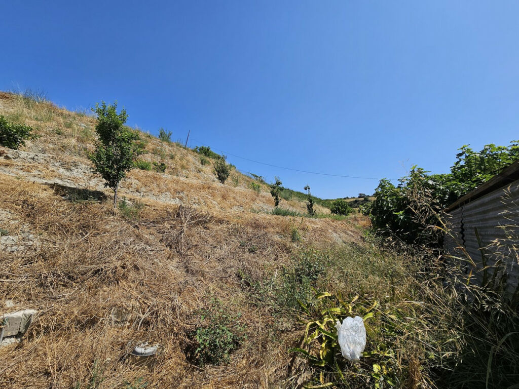 Detached Villa Casares Málaga - image 16