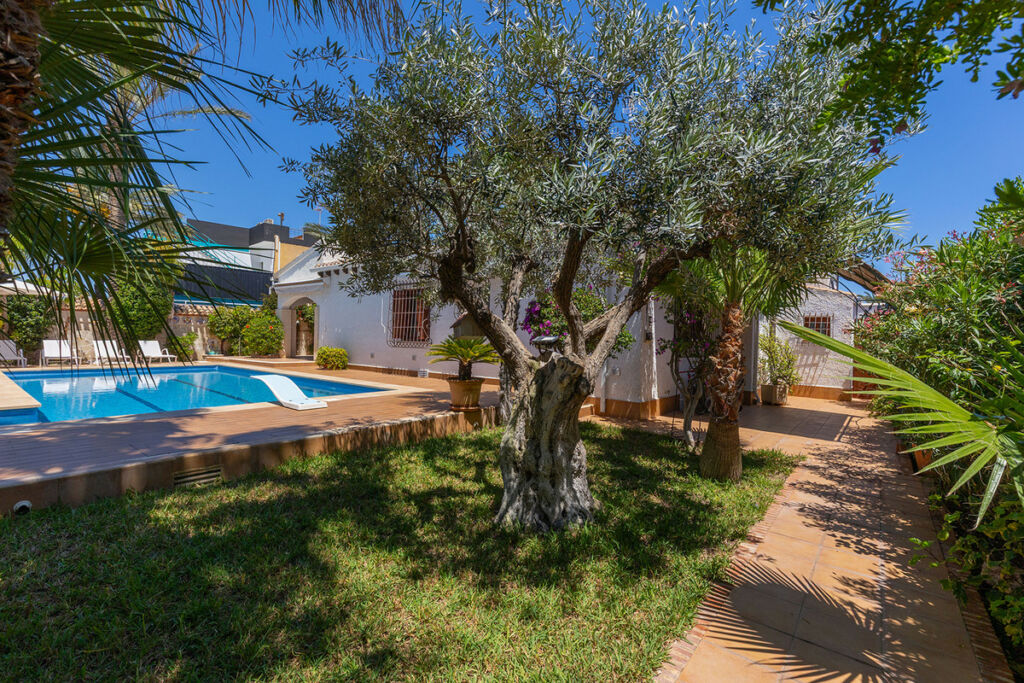 Detached Villa Punta Prima Alicante - image 15