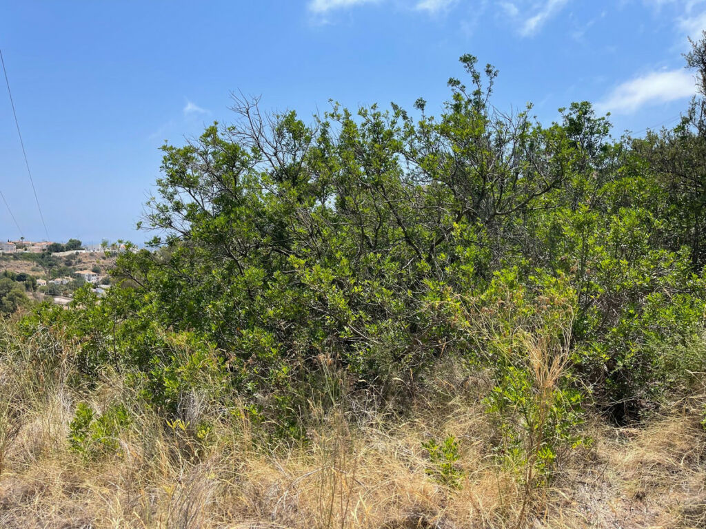 Residential Plot Calpe Alicante - image 15