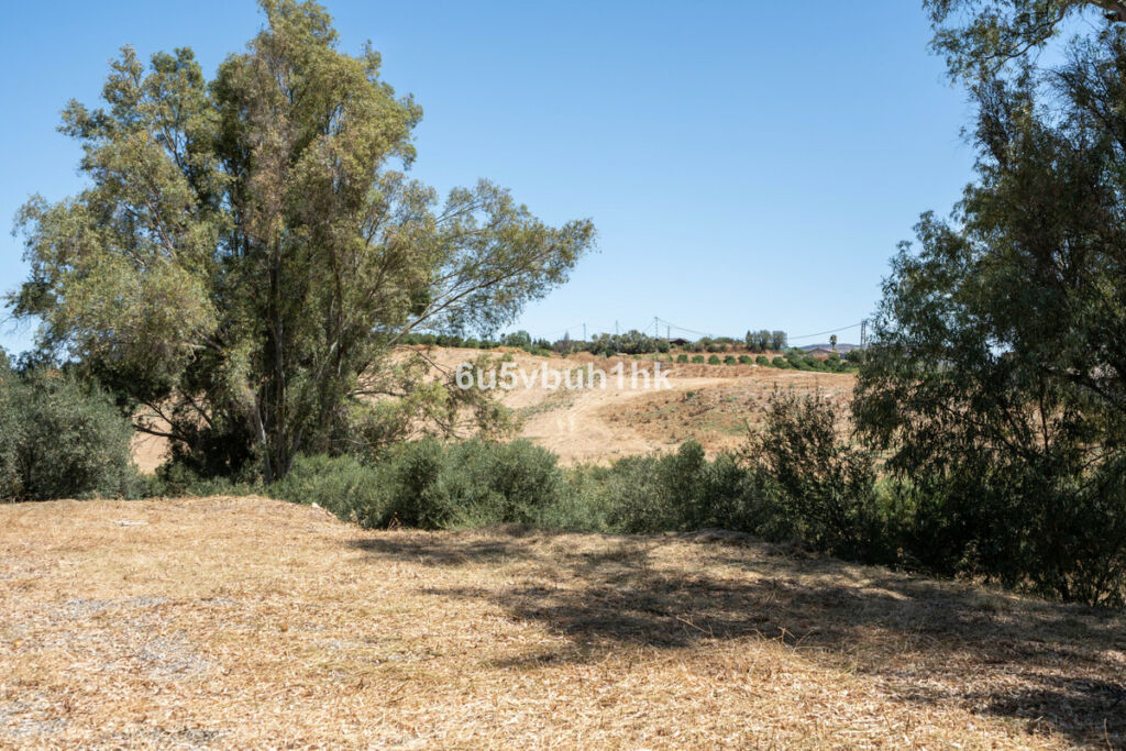 Finca - Cortijo Cártama Málaga - image 15