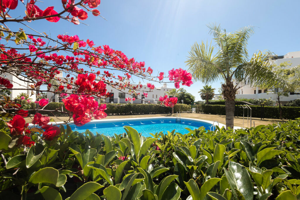 Middle Floor Apartment Estepona Málaga - image 16