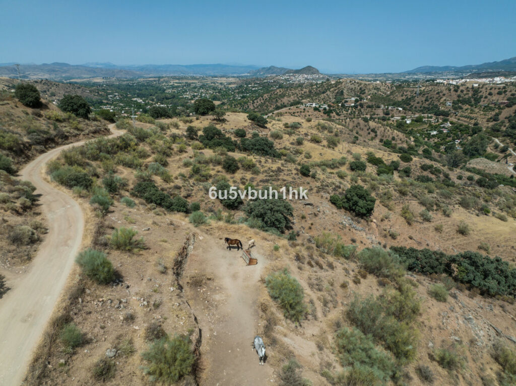 Land Coín Málaga - image 16