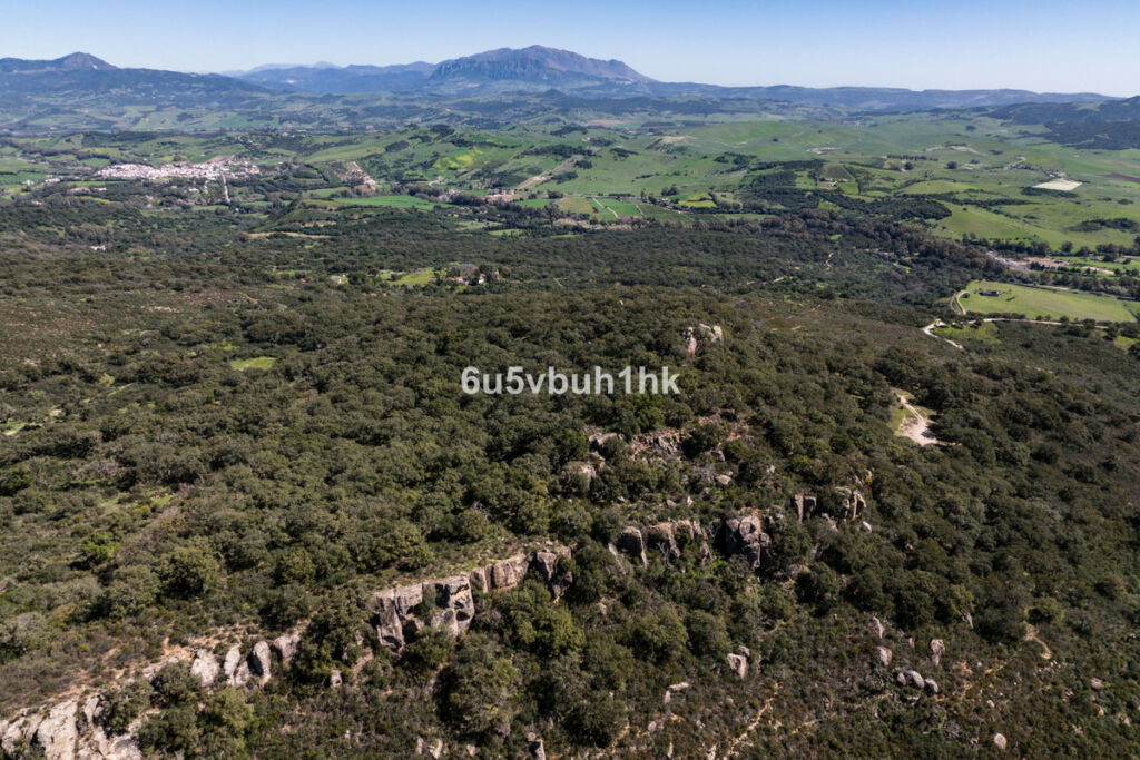 Finca - Cortijo Jimena de la Frontera Cádiz - image 16