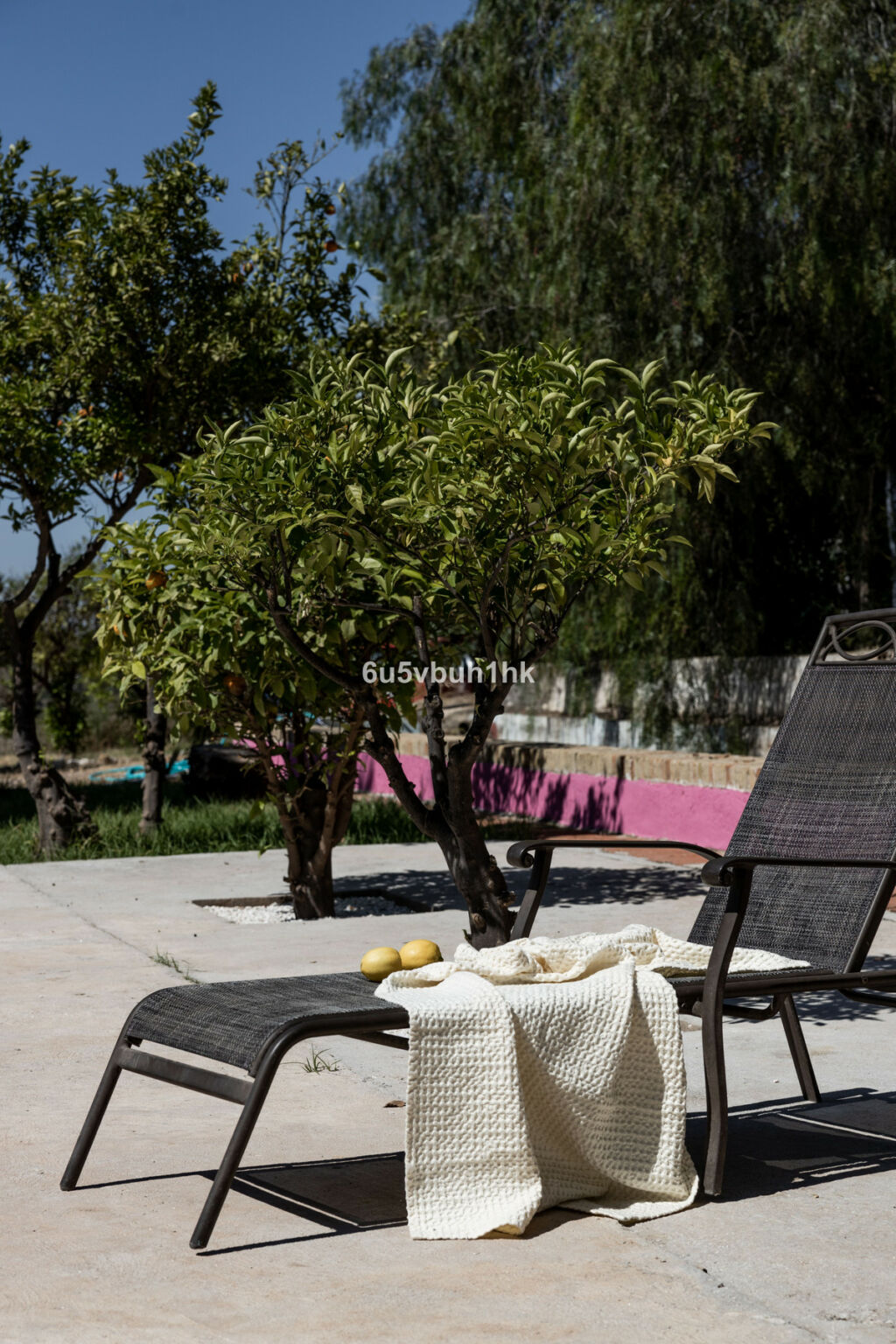 Finca - Cortijo Alora Málaga - image 16