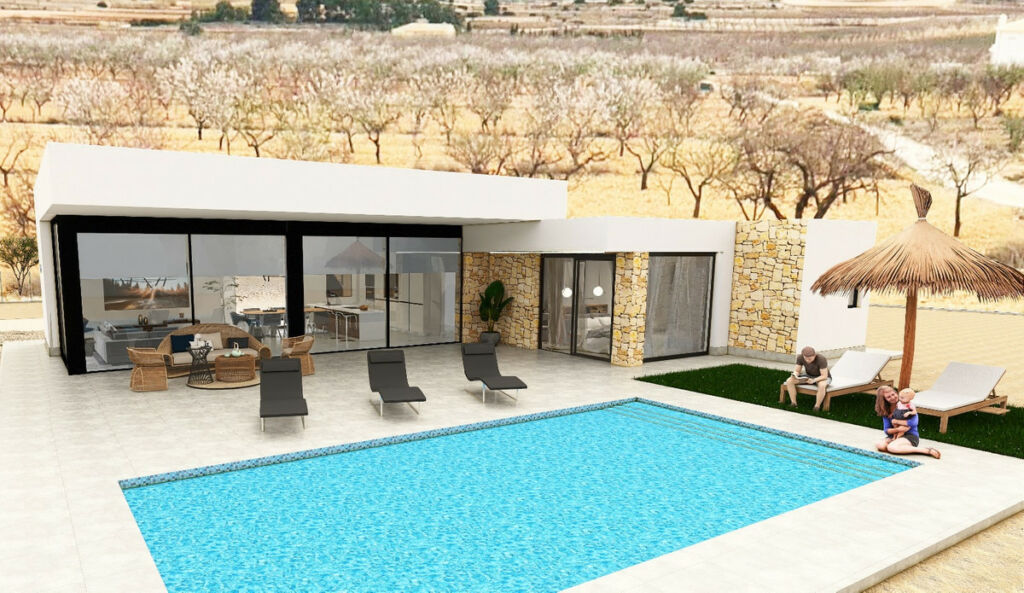 Detached Villa Aspe Alicante - image 16