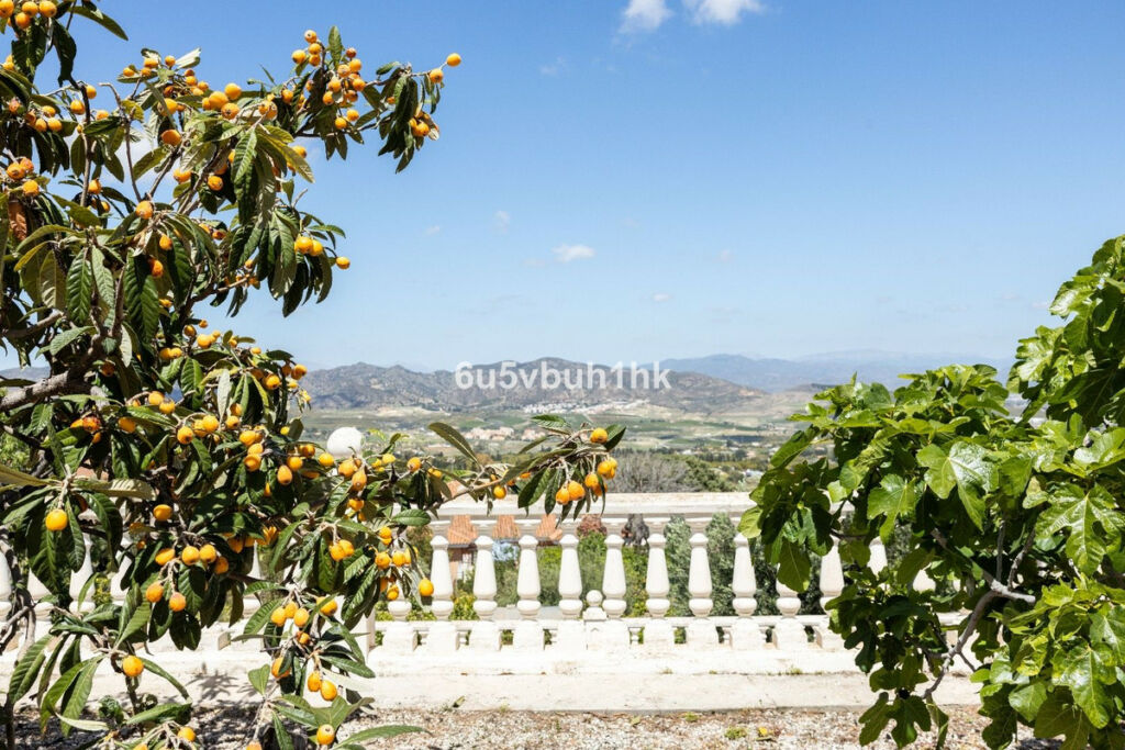Land Alhaurín de la Torre Málaga - image 16