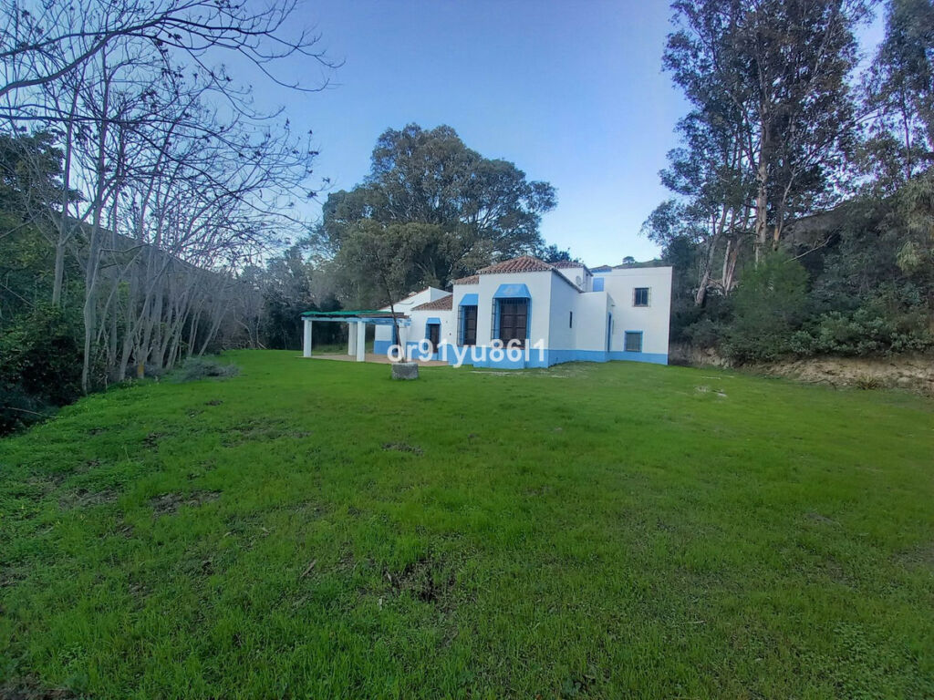 Finca - Cortijo Casares Málaga - image 17