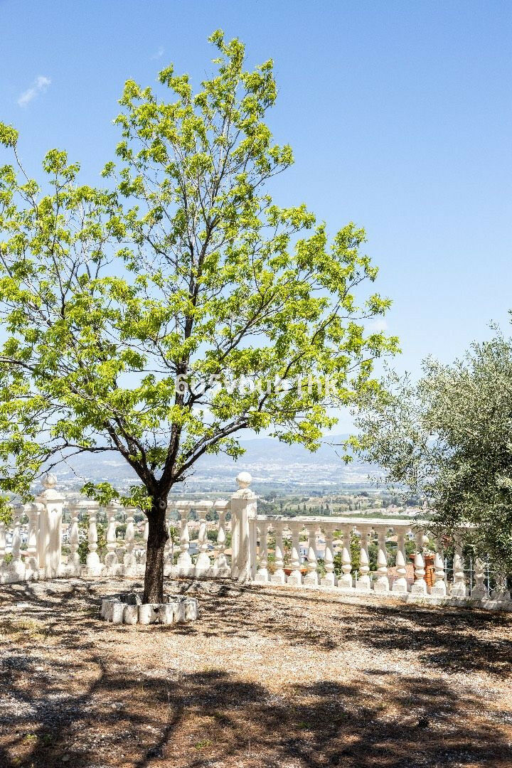 Land Alhaurín de la Torre Málaga - image 17