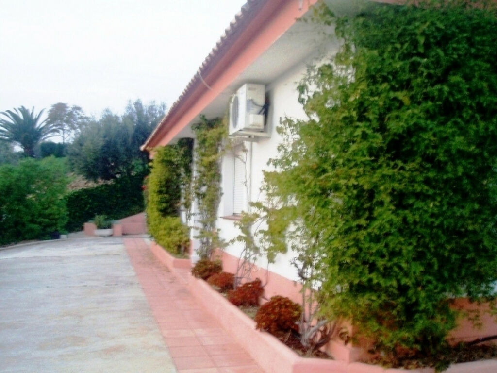 Detached Villa Mijas Málaga - image 17