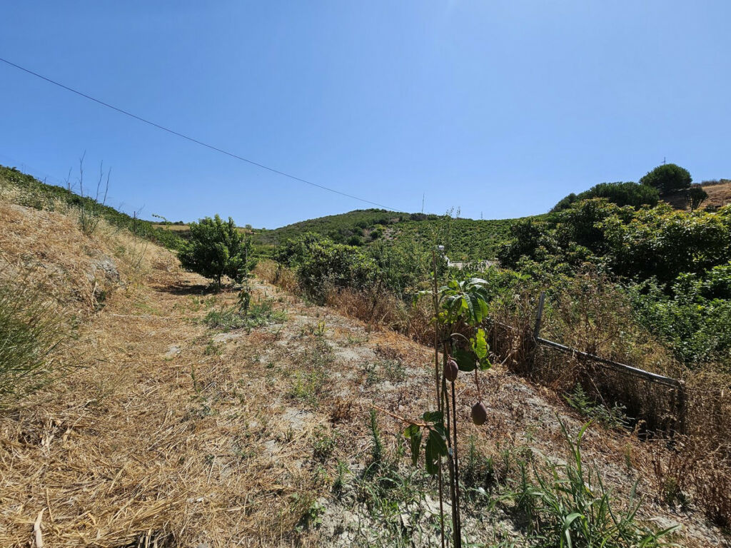 Detached Villa Casares Málaga - image 18