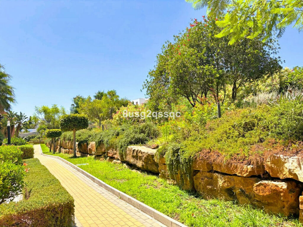 Ground Floor Apartment Casares Málaga - image 17