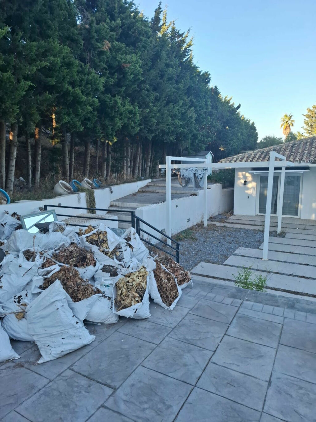 Detached Villa Benalmadena Málaga - image 17