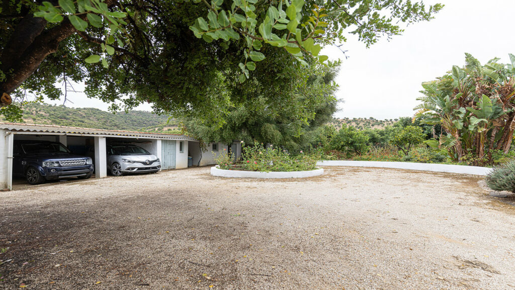 Finca - Cortijo San Pablo de Buceite Cádiz - image 17
