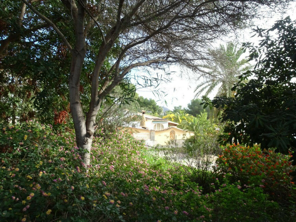 Detached Villa Moraira Alicante - image 17