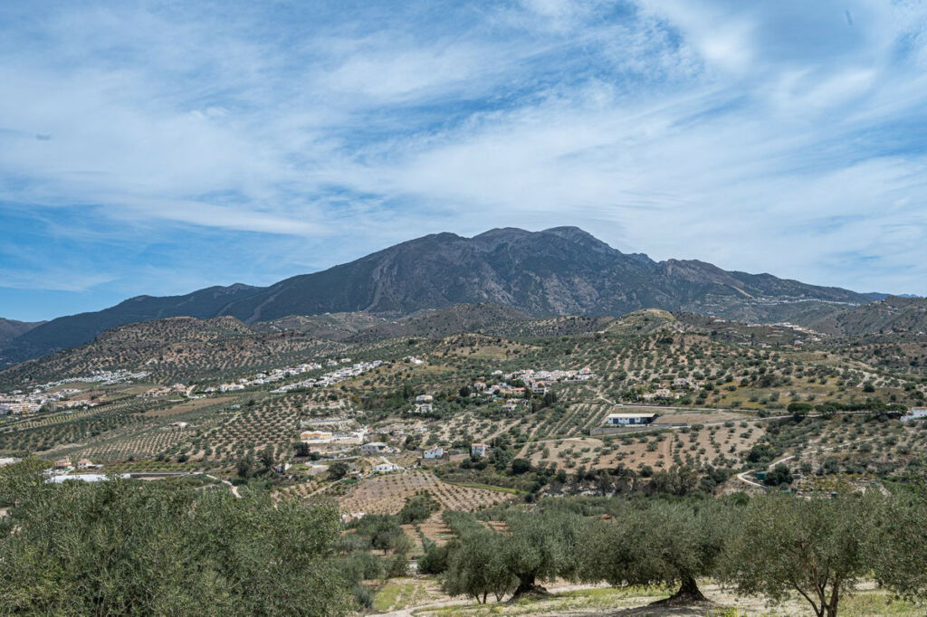 Detached Villa La Viñuela Málaga - image 17