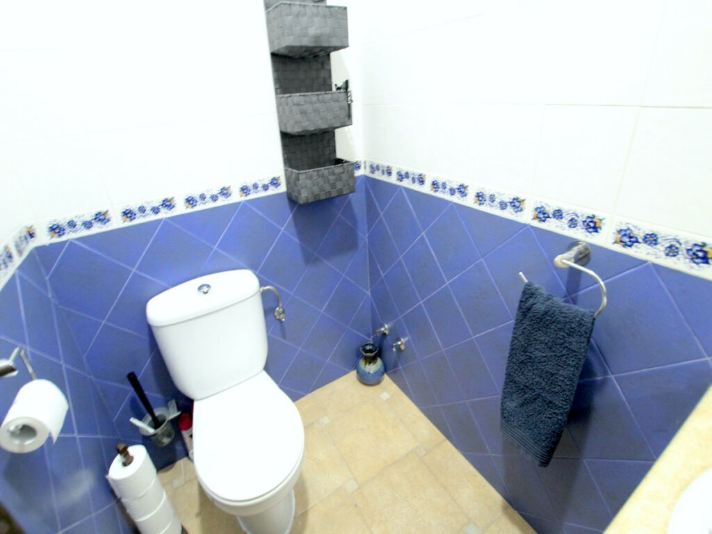 Detached Villa Algorfa Alicante - image 17