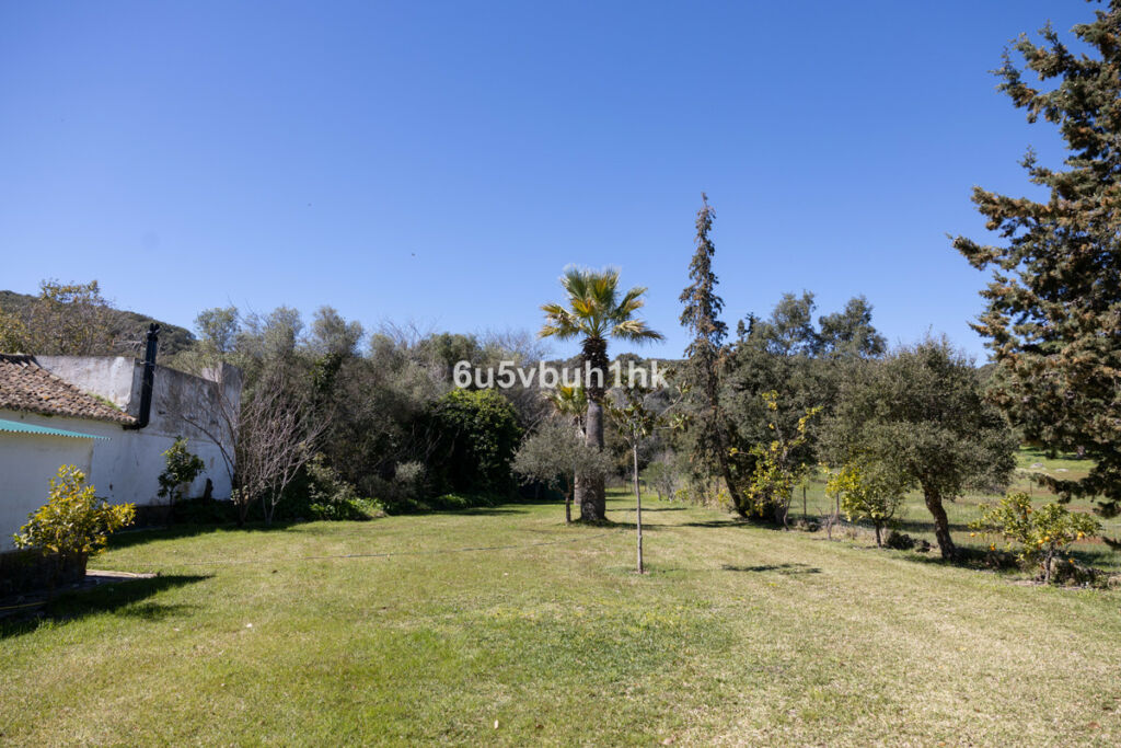 Finca - Cortijo Jimena de la Frontera Cádiz - image 18