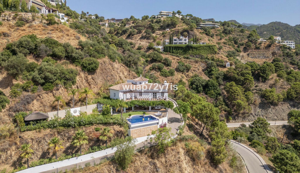 Detached Villa Benahavís Málaga - image 18
