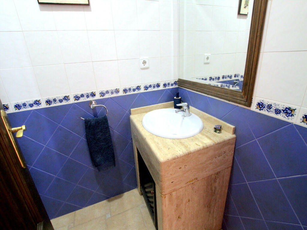 Detached Villa Algorfa Alicante - image 18
