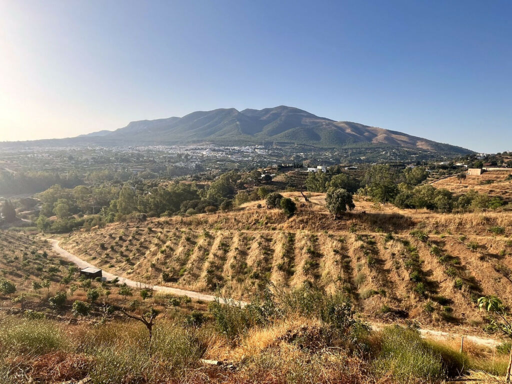 Land Alhaurín el Grande Málaga - image 18