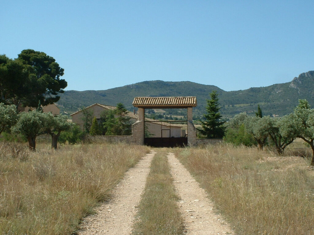 Finca - Cortijo Villena Alicante - image 18