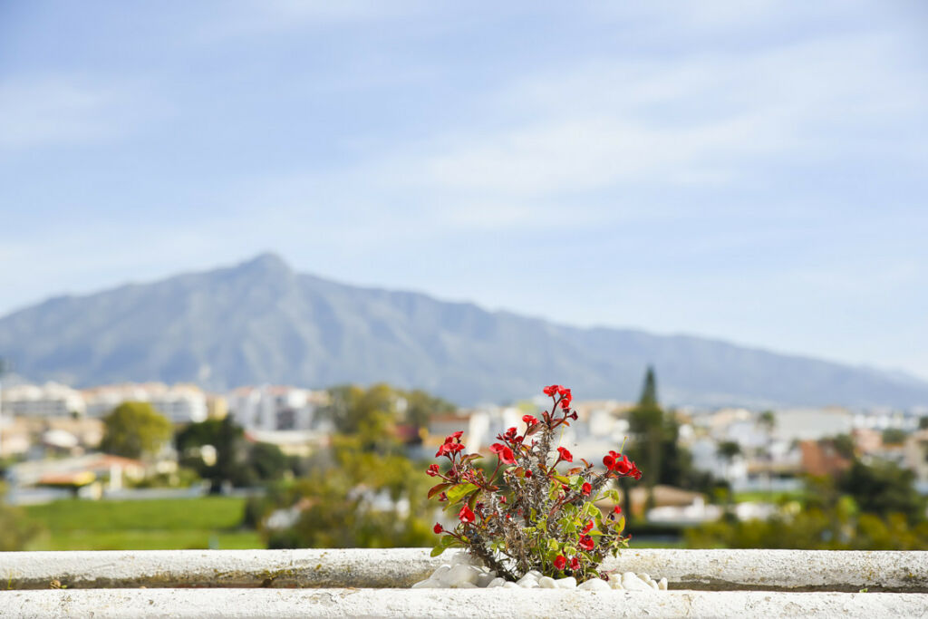 Penthouse Guadalmina Baja Málaga - image 18