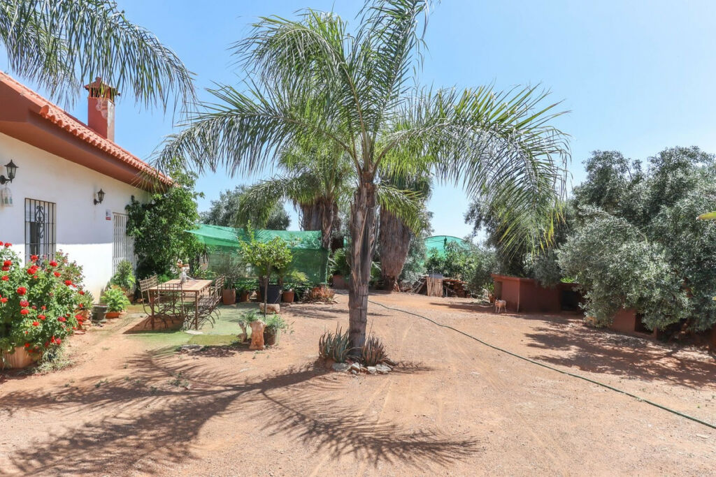 Farm Monda Málaga - image 18